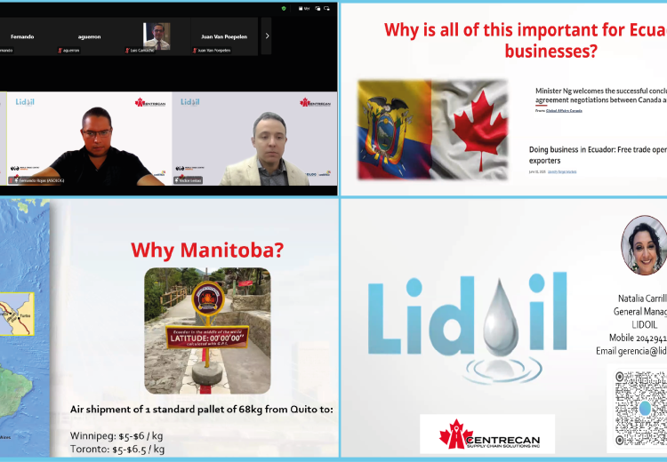 international webinar 